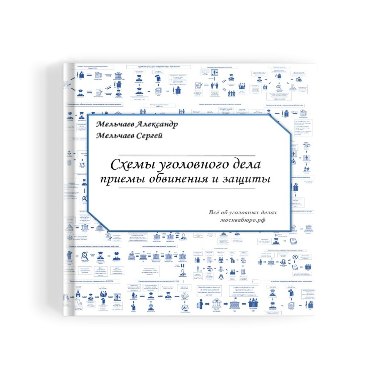 Схемы уголовного дела